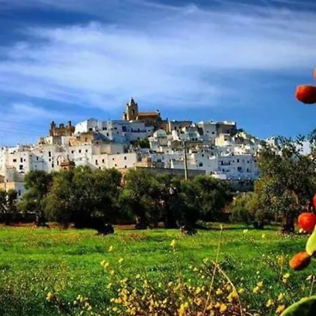 Amara Typical Stone House - Centro Ostuni